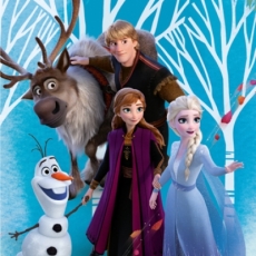 Dětská osuška Frozen II